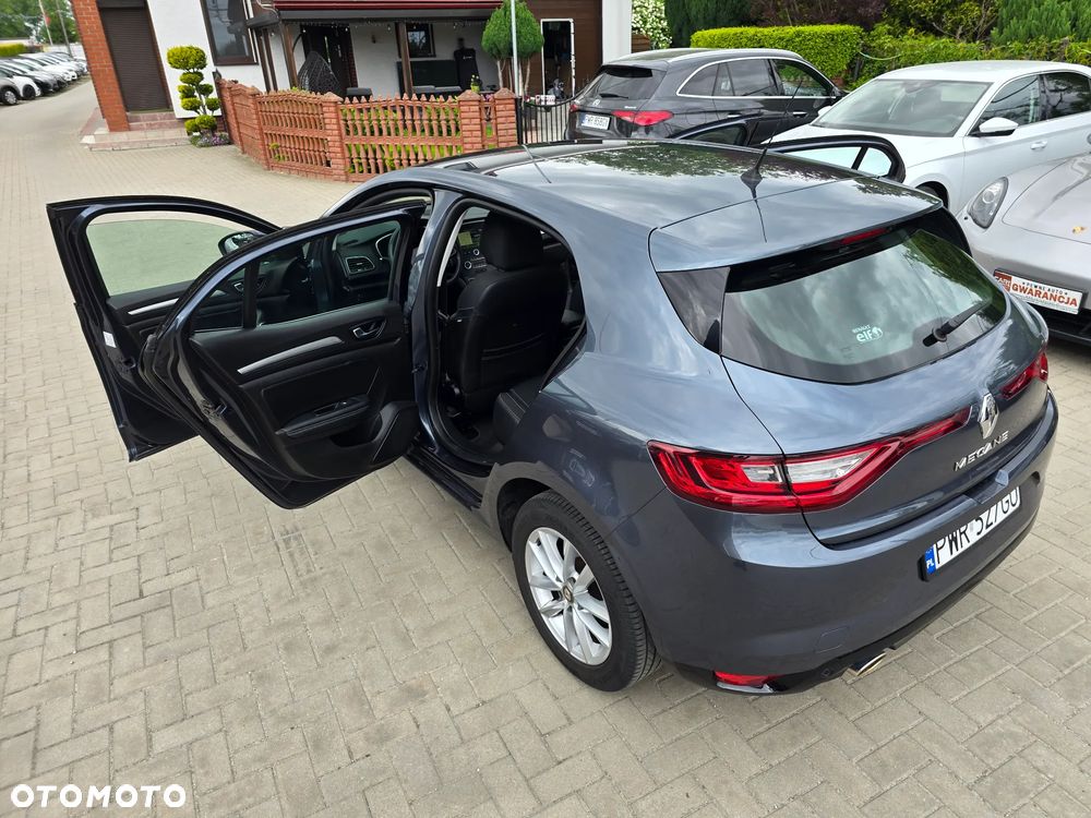 Renault Megane - 38