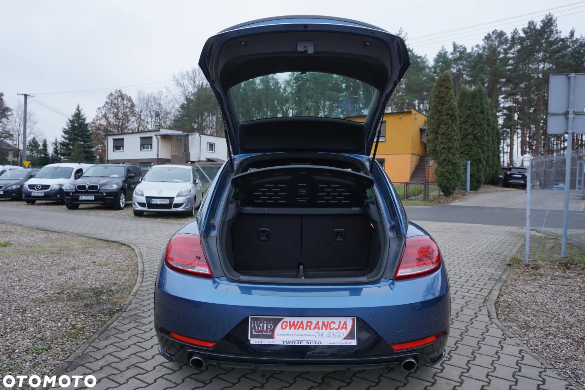 Volkswagen Beetle - 5
