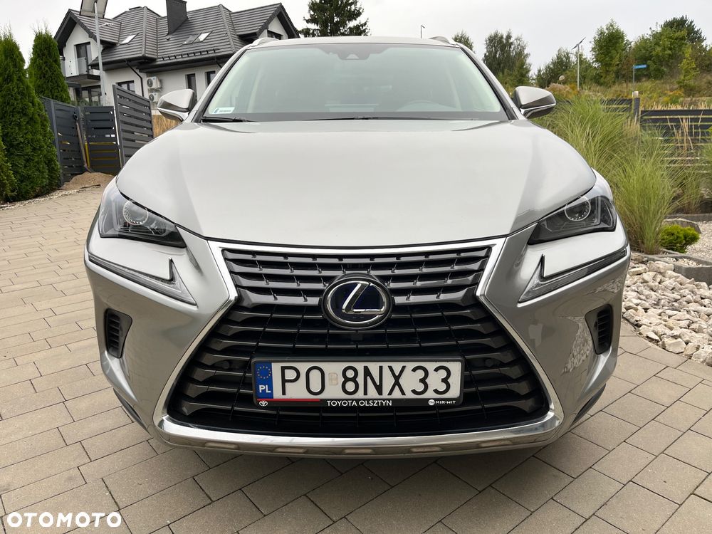 Lexus NX 300h F Sport Edition AWD - 9