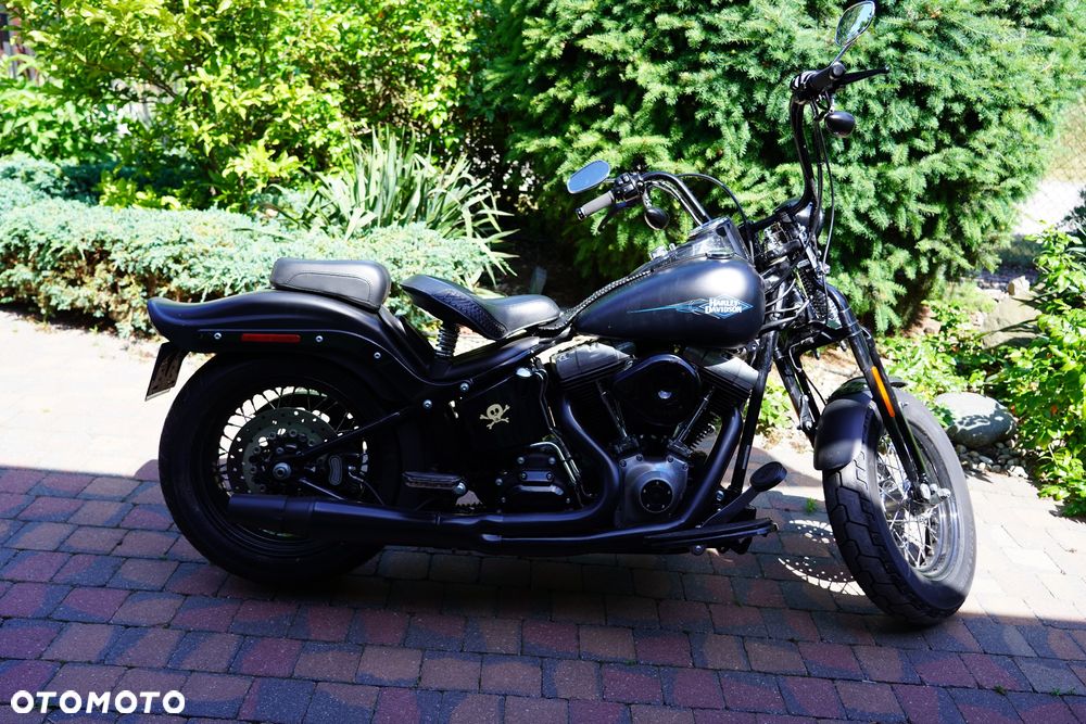 Harley-Davidson Softail Cross Bones - 1