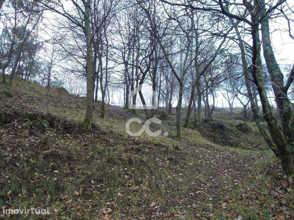 Terreno para moradia - Terreno para Construção - Grande imagem: 2/23