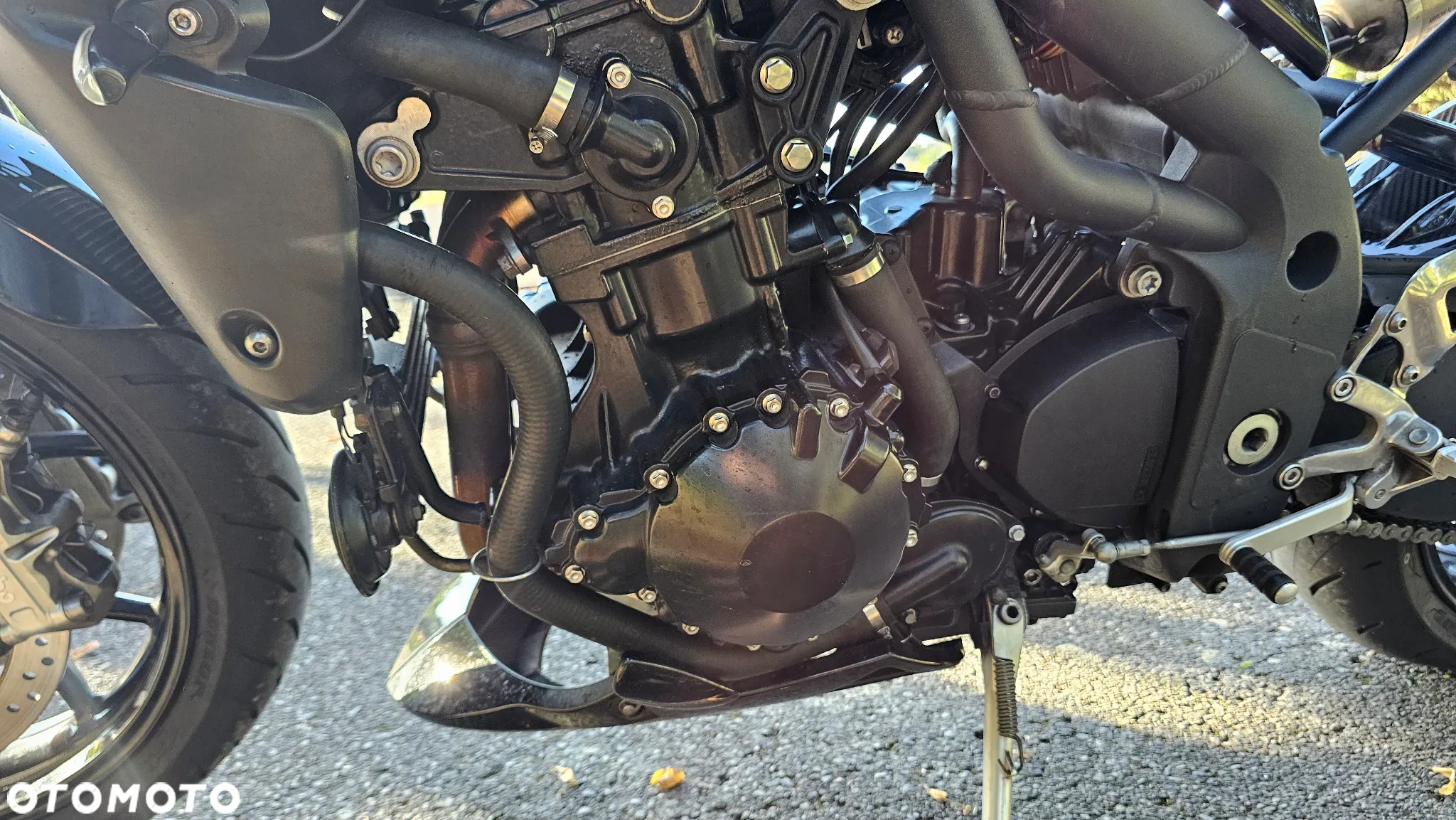 Triumph Speed Triple - 17