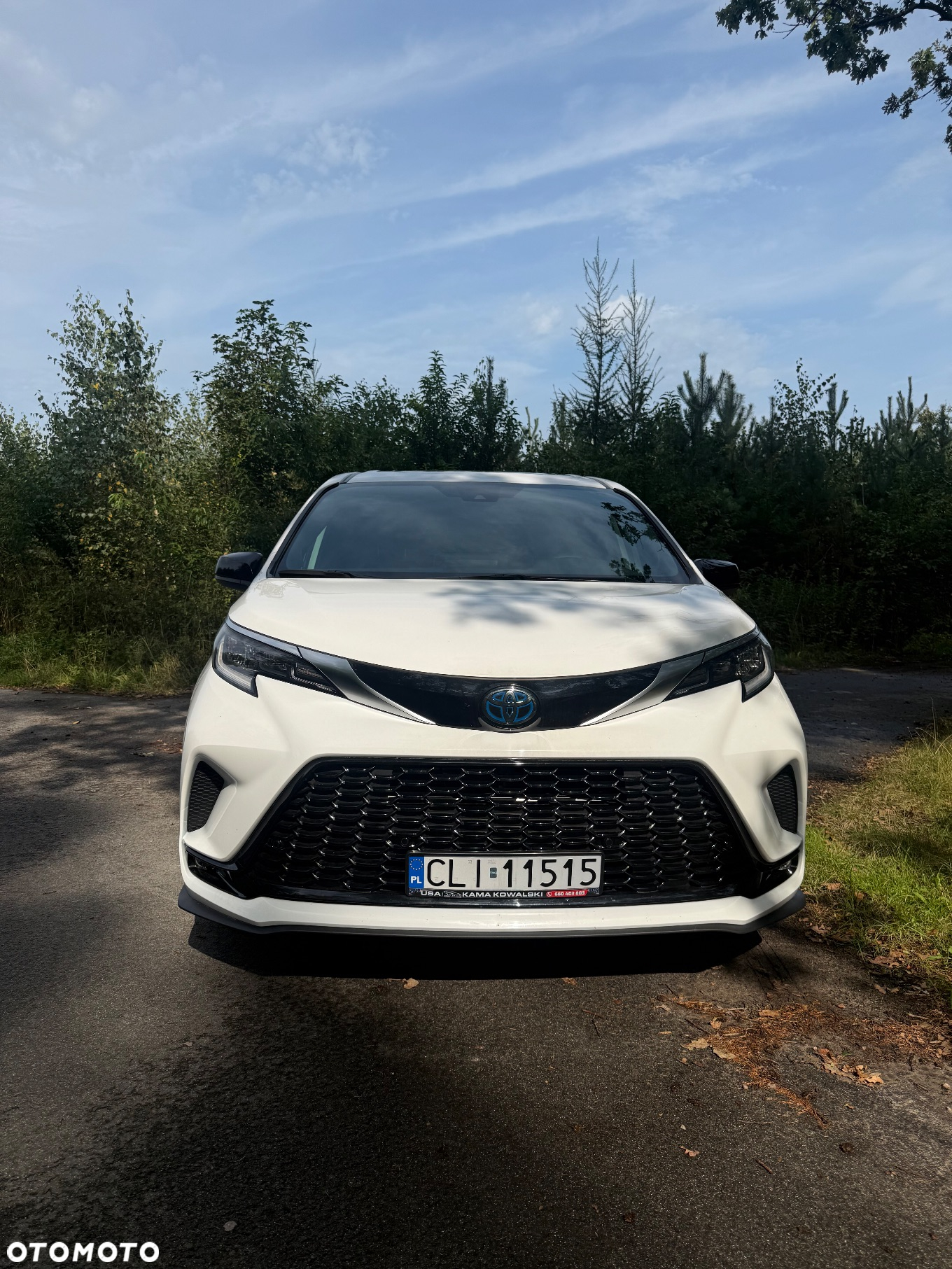 Toyota Sienna - 3