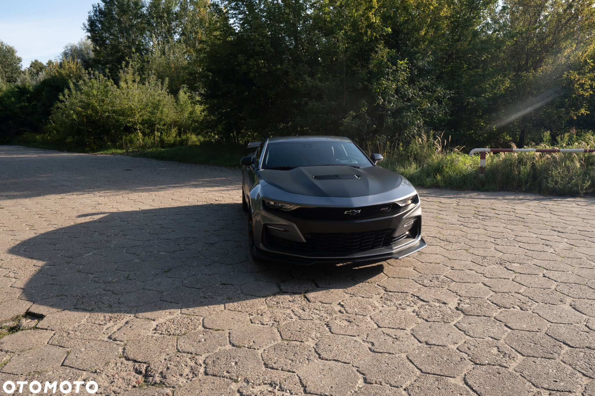 Chevrolet Camaro - 19
