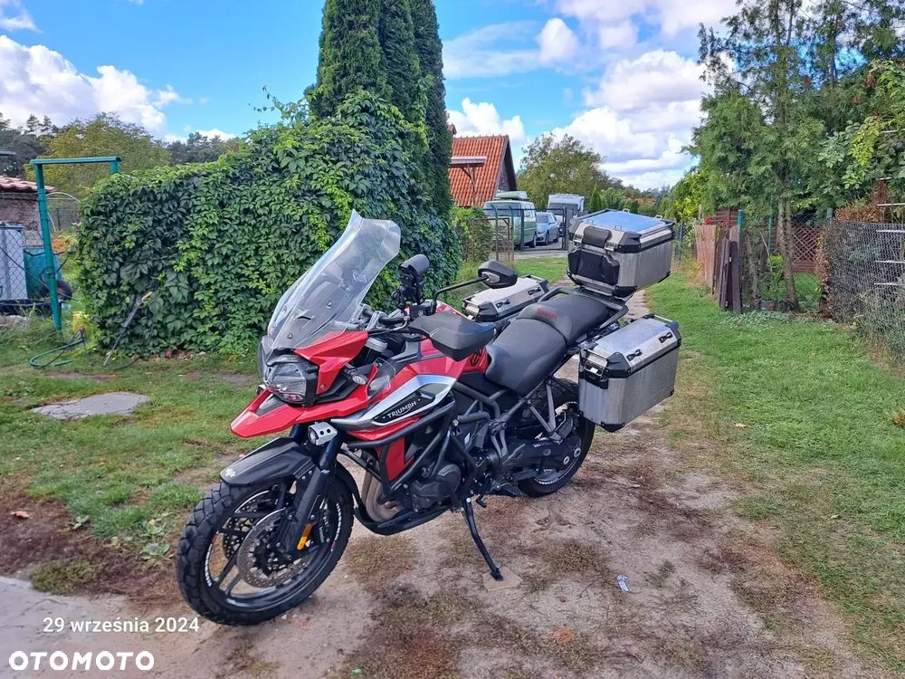 Triumph Tiger - 1