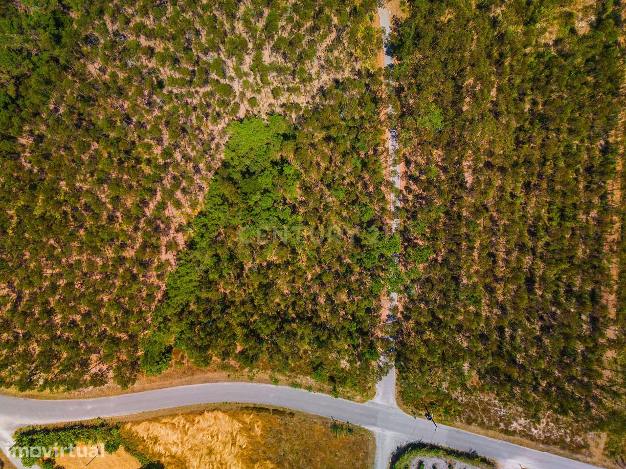 Terreno rústico, com 3180 m2 em Nadadouro, Caldas da Rainha. - Grande imagem: 5/8