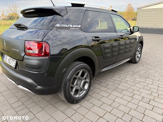 Citroën C4 Cactus Pure Tech 110 Stop&Start Rip Curl - 4