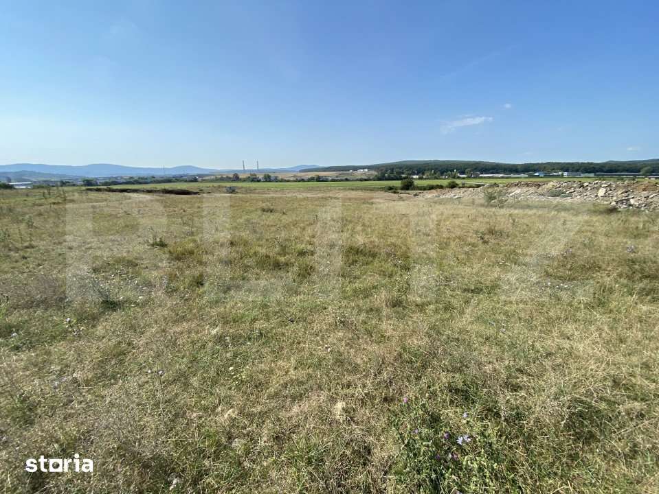 Teren extravilan Criseni, 3800 mp - Imagine principală: 5/5