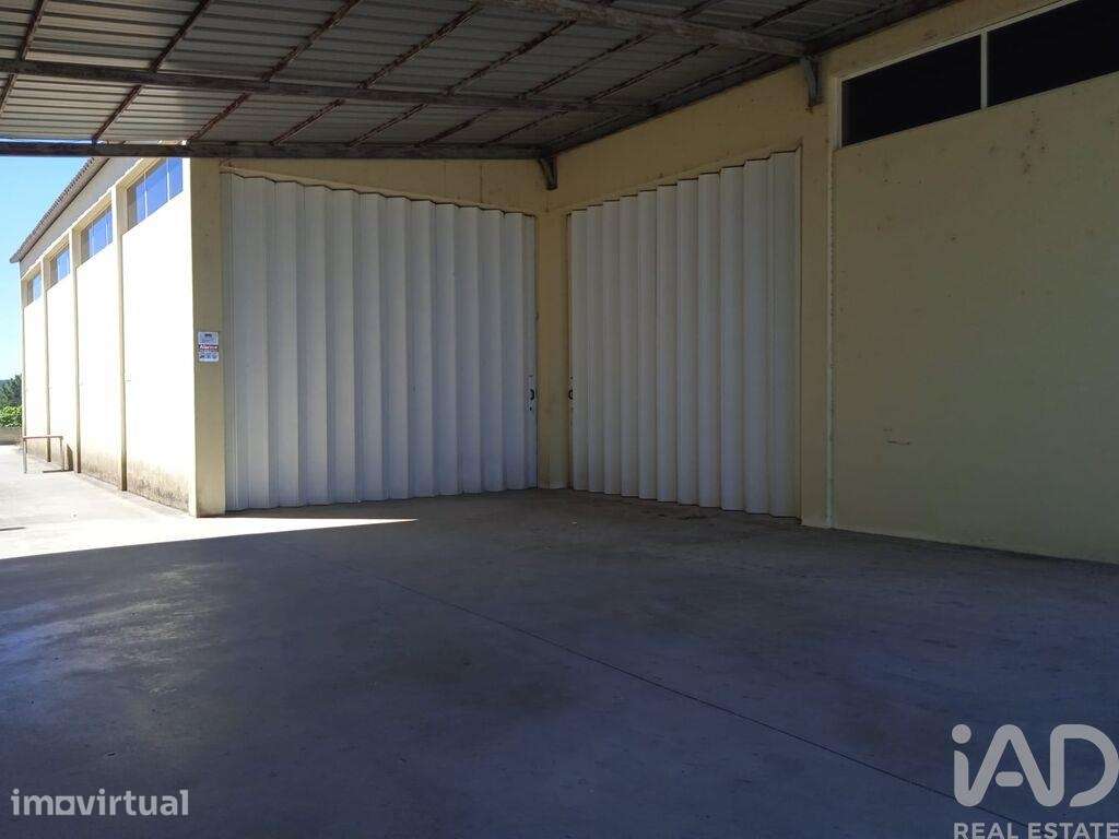 Hangar em Constantim e Vale de Nogueiras de 580,00 m2 - Grande imagem: 3/30
