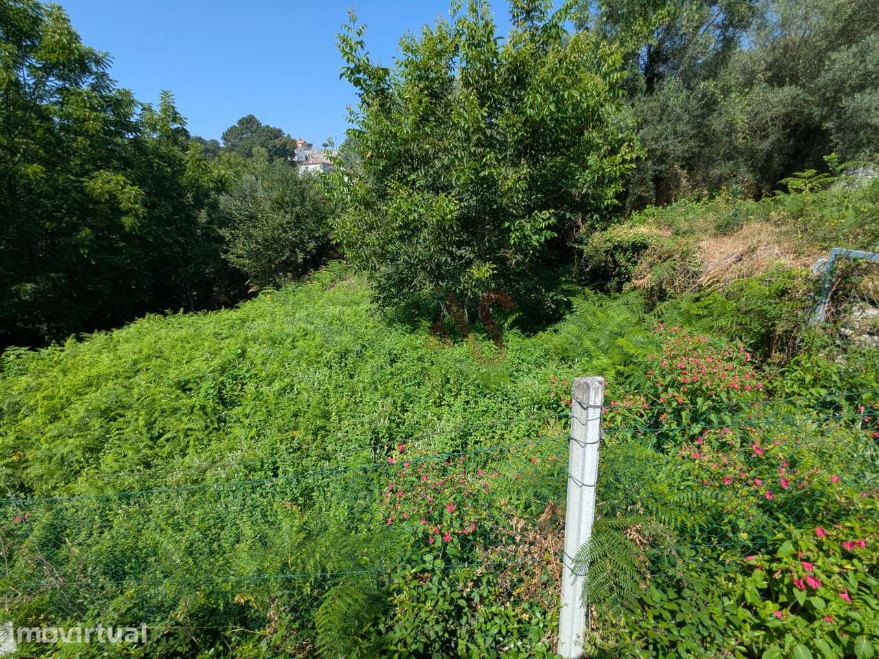 Terreno Rústico com 612,76 m² em Travassós, Fafe – Inserido em Zona de - Grande imagem: 3/6