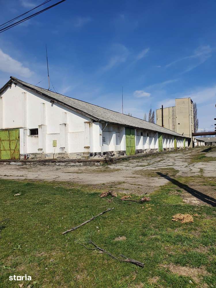 Hala de vânzare, 40.000 mp, utilități incluse - Imagine principală: 4/5