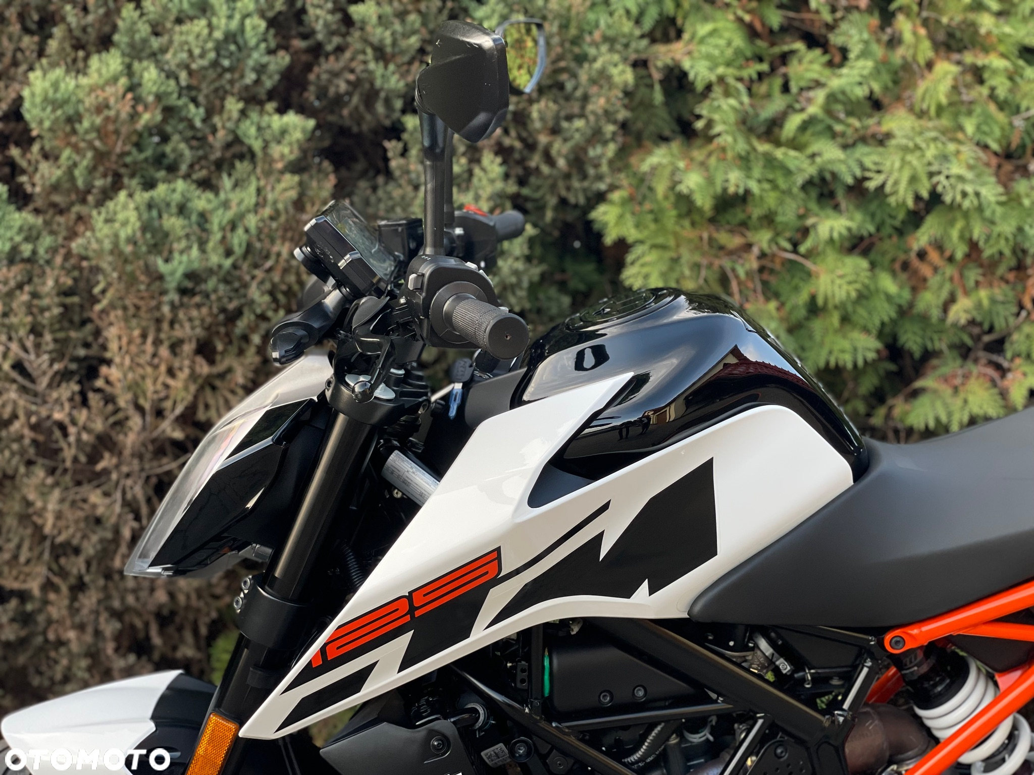 KTM Duke - 26