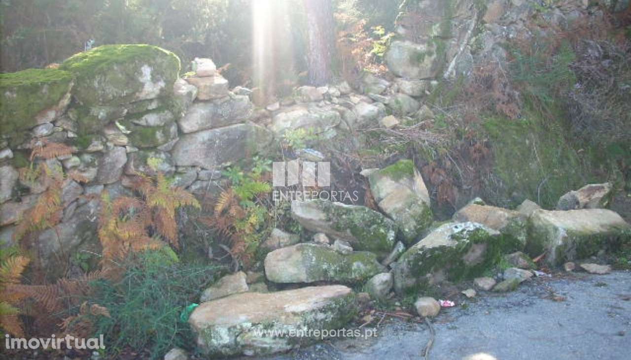 Venda Terreno para loteamento, Vila Boa do Bispo, Marco de Canaveses - Grande imagem: 5/33