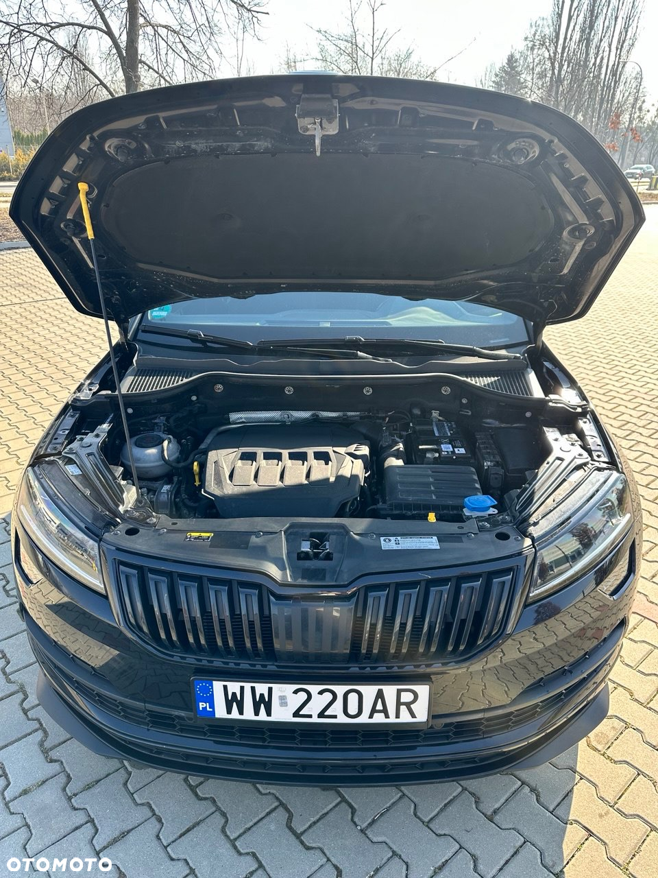 Skoda Karoq 2.0 TSI 4x4 DSG Sportline - 10