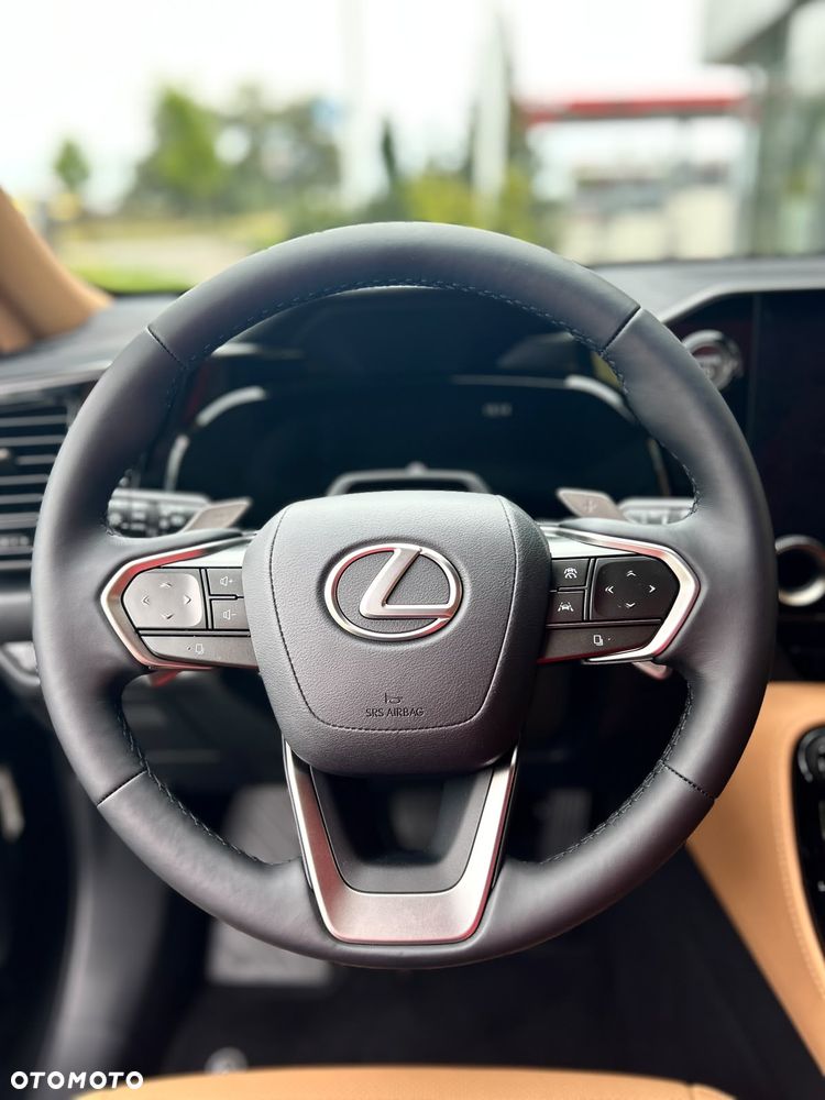 Lexus NX - 16