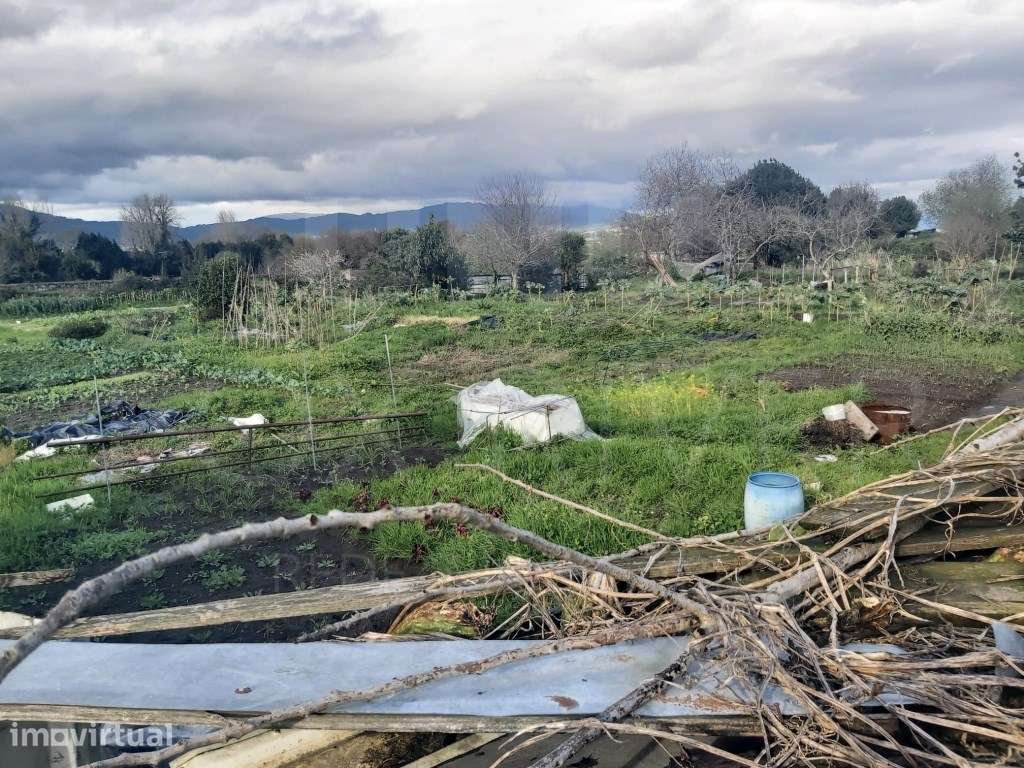 Terreno Urbanizável - Darque - Grande imagem: 2/5