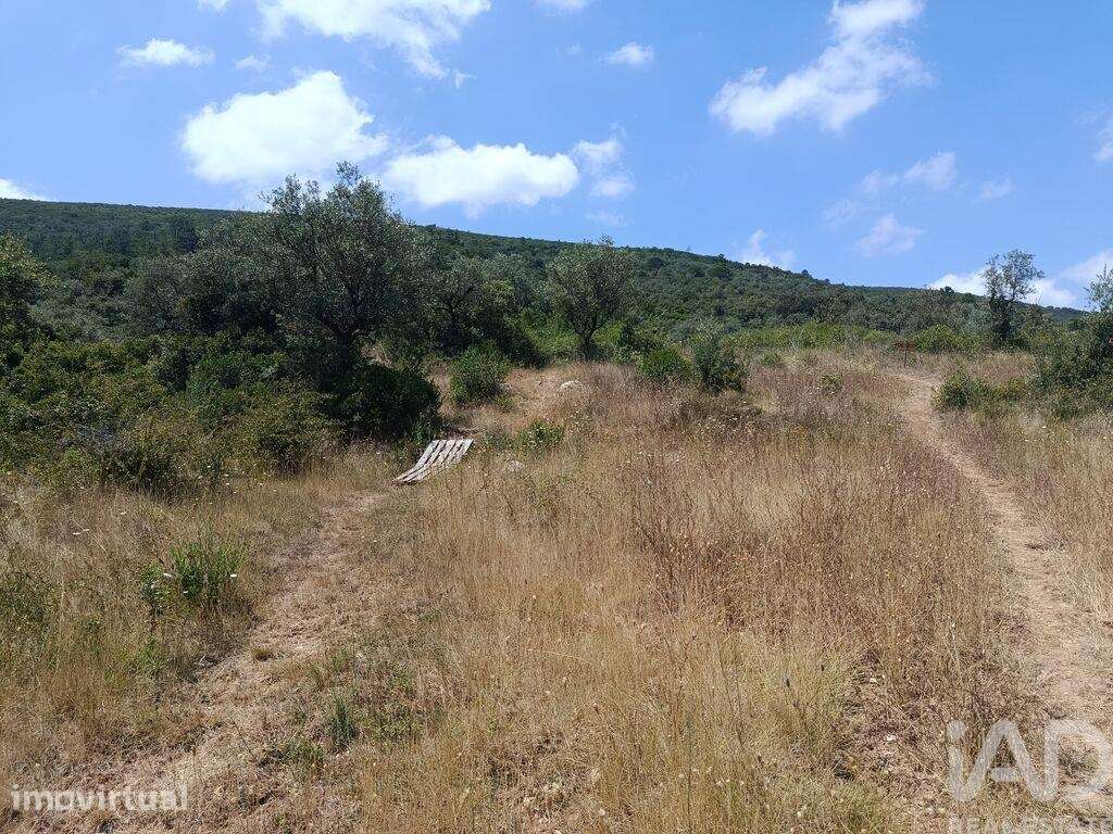 Terreno Agrícola em Porto de Mós - São João Baptista e São Pedro - Grande imagem: 2/11