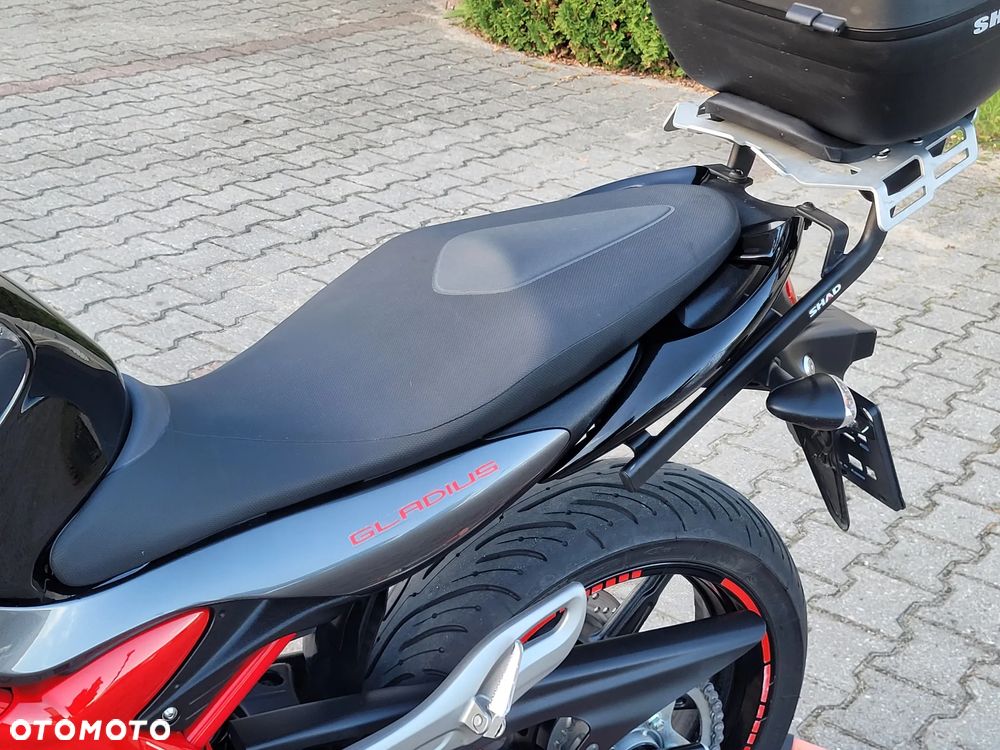 Suzuki Gladius - 24