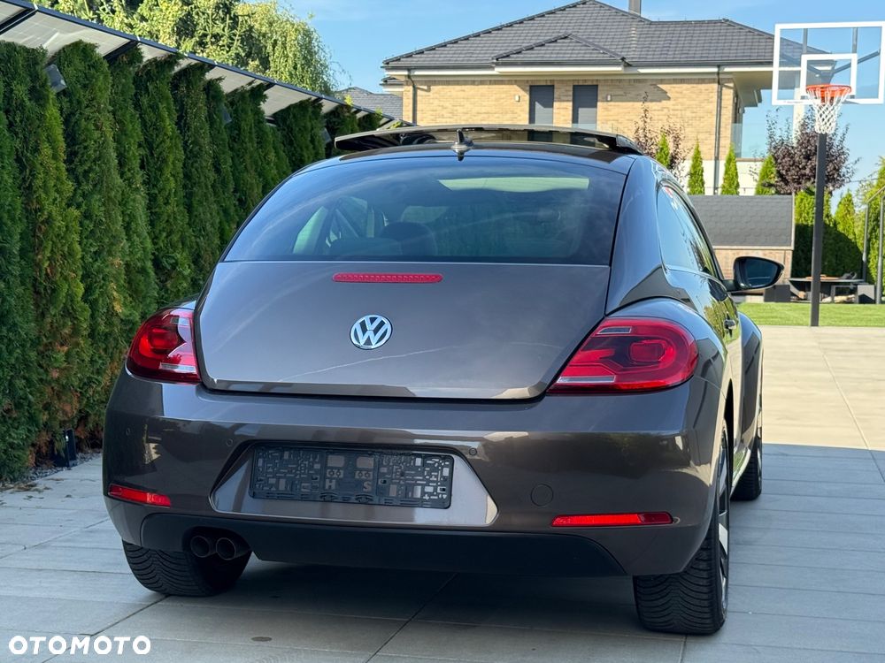 Volkswagen Beetle - 15