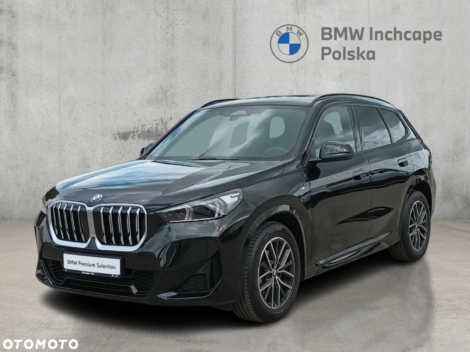 BMW X1 - 1