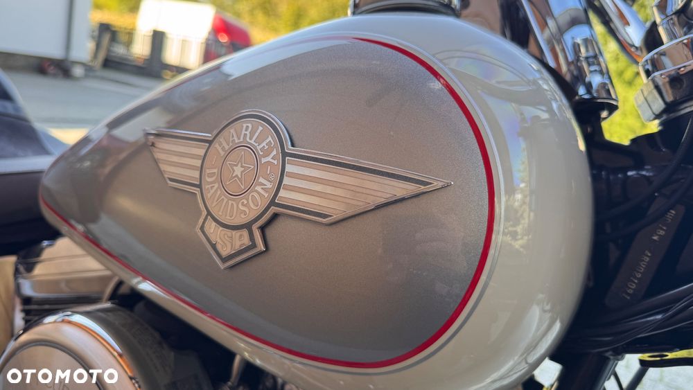 Harley-Davidson Softail - 15