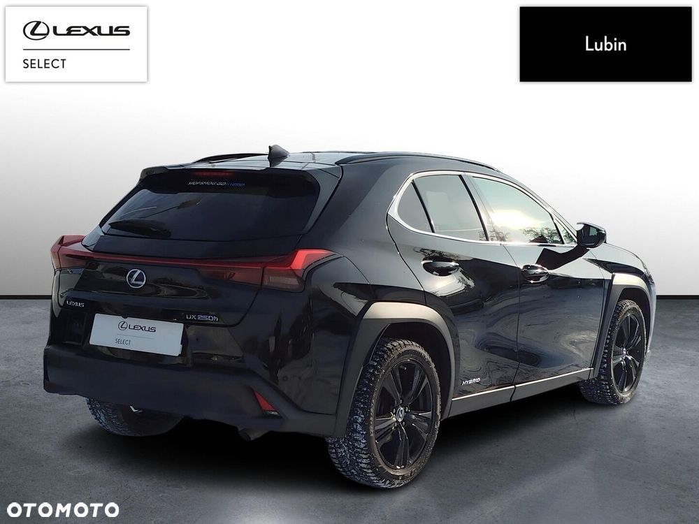 Lexus UX - 6