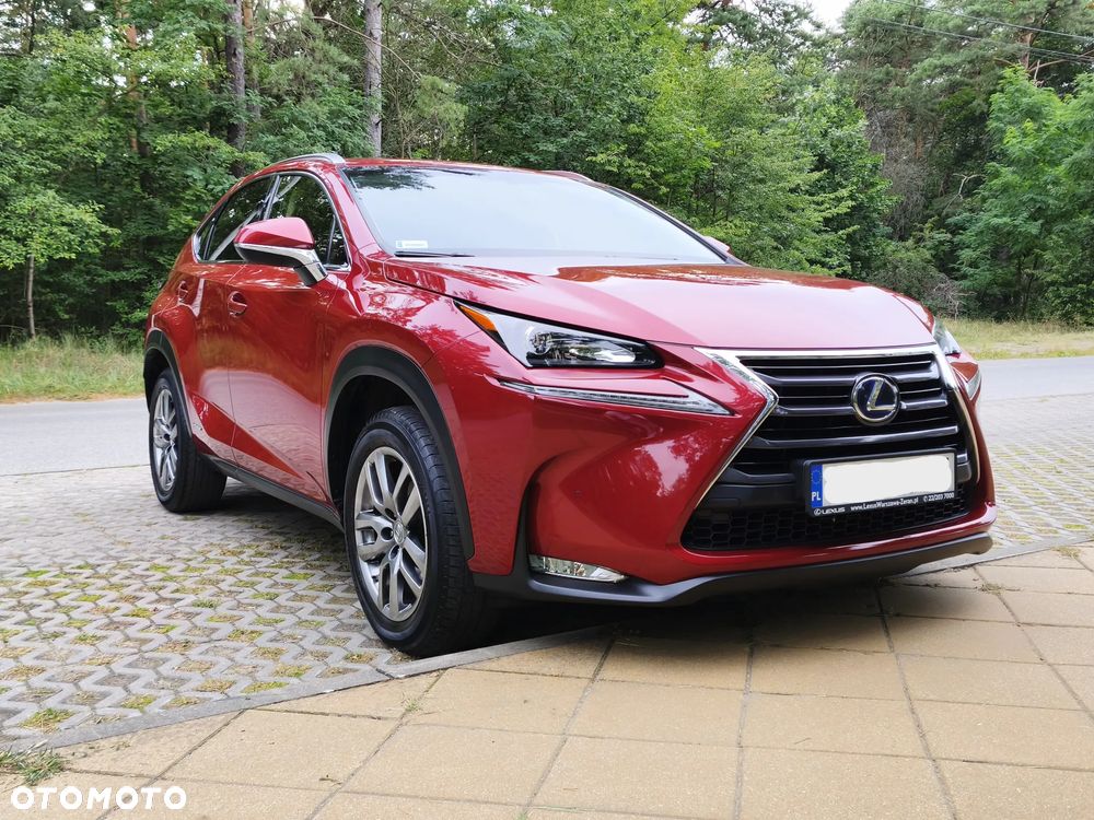 Lexus NX 300h Comfort AWD - 7