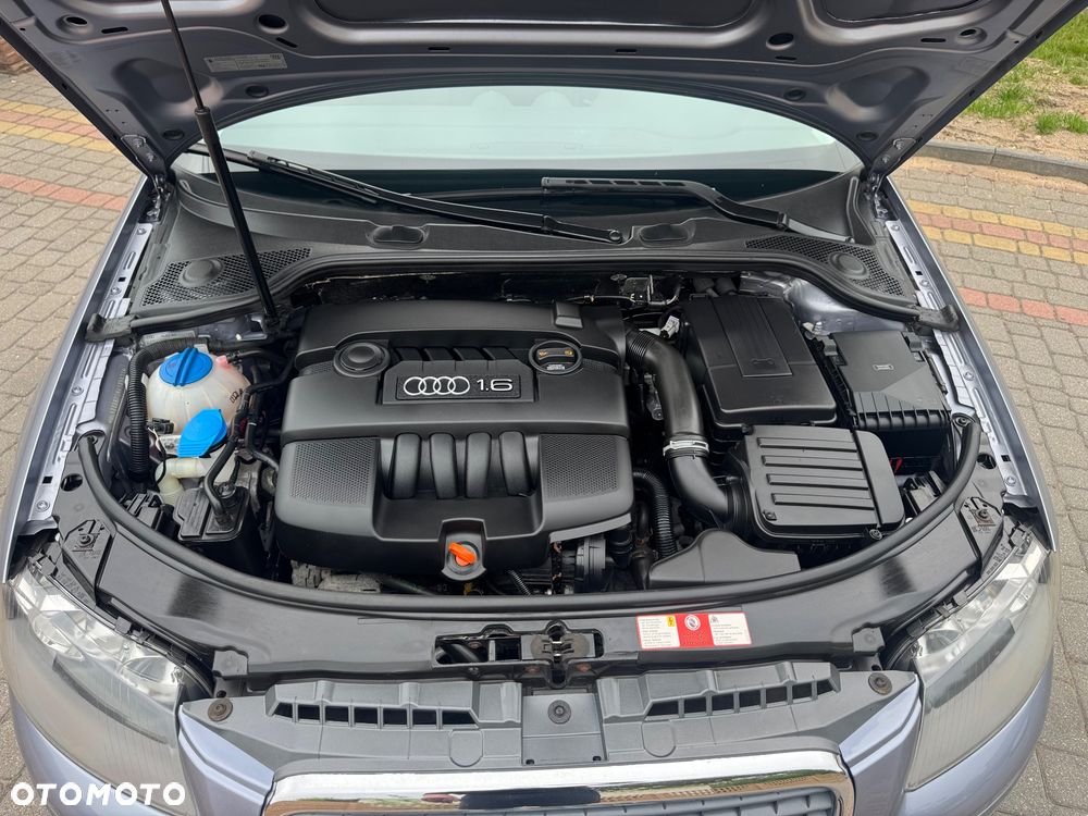 Audi A3 3-drzwiowe 1.6 Ambiente - 16