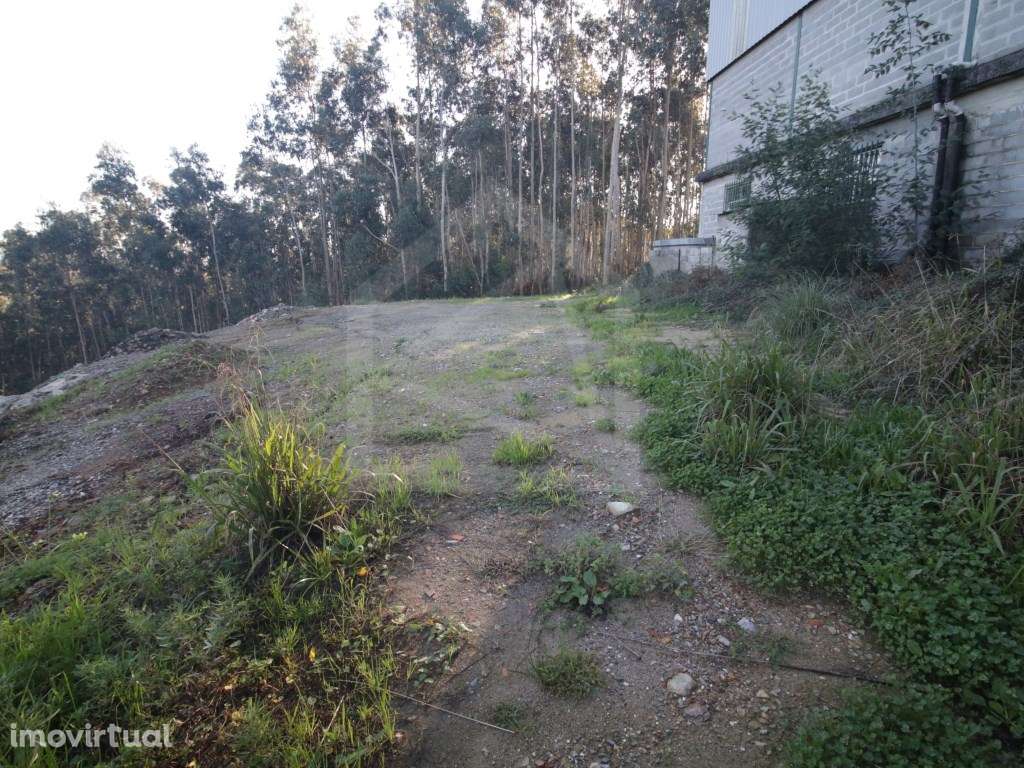 Armazém em Sever do Vouga - Grande imagem: 5/16