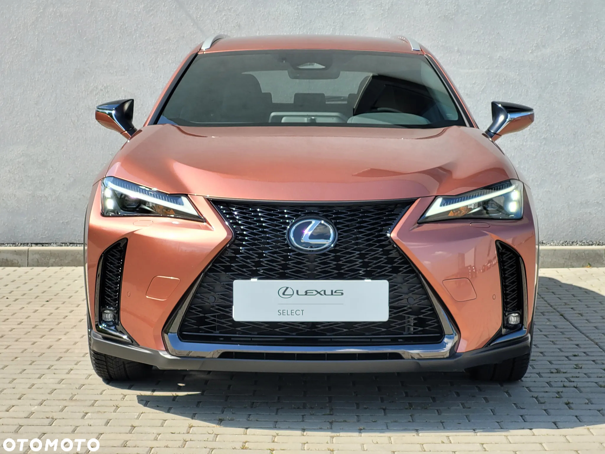 Lexus UX 300h F Sport Design - 23