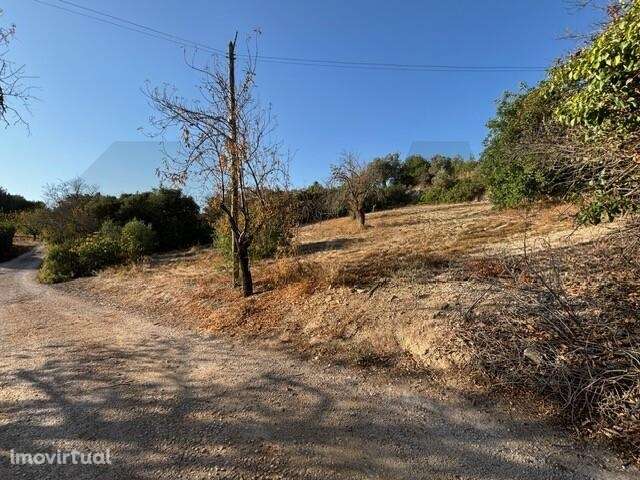 Encantador Terreno Rústico com Vista Mar - Grande imagem: 4/9
