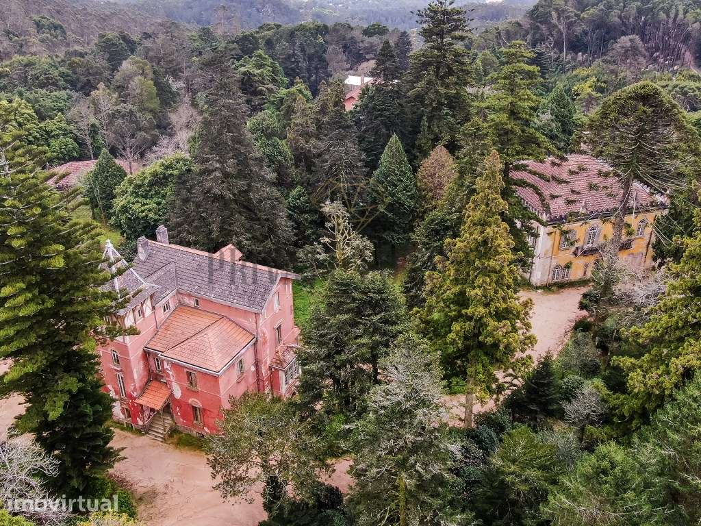Quinta em Sintra com Vista Panorâmica sobre Cascais - Grande imagem: 4/30