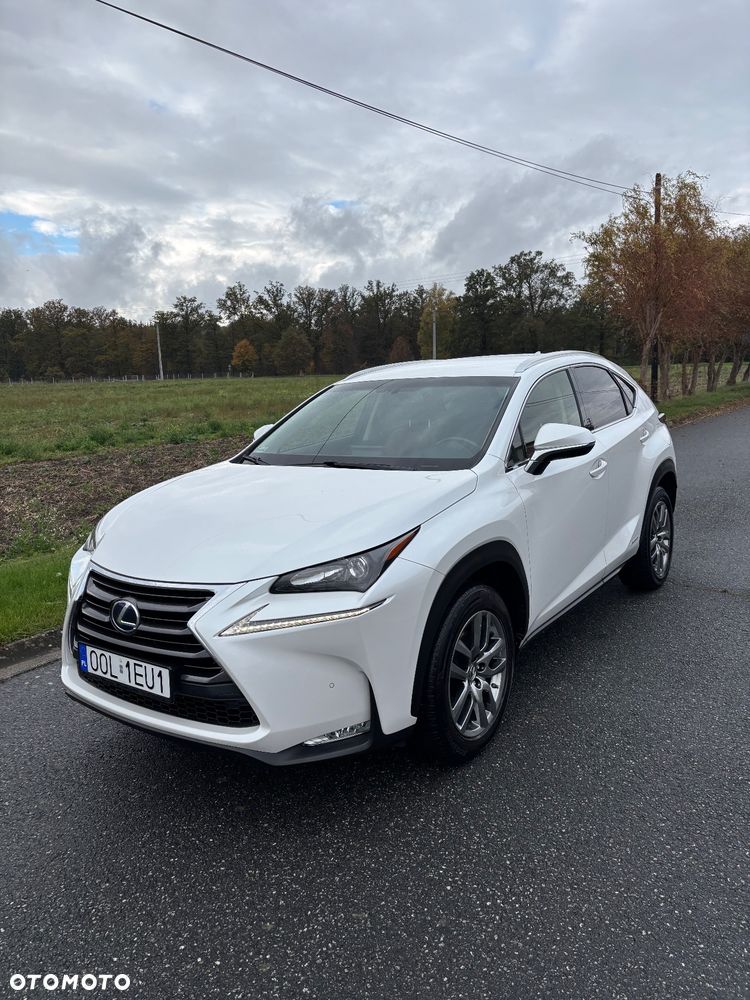 Lexus NX 300h Elite AWD - 6