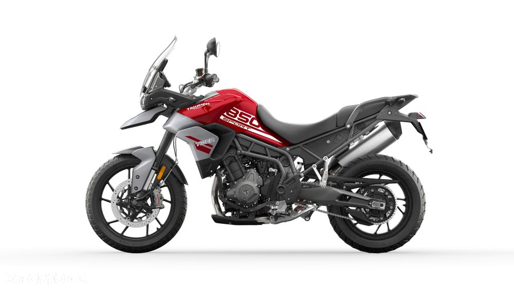 Triumph Tiger - 19