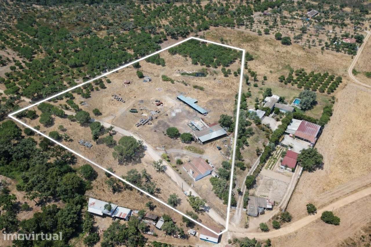 Quinta com vista mar e grande potencial nas Sobreiras Altas, Grândola - Grande imagem: 3/24