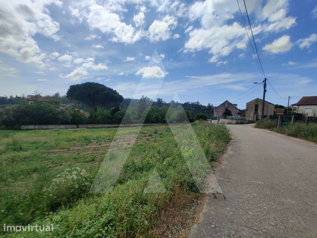 Terreno em Macinhata do Vouga para construção de moradia - Grande imagem: 5/8