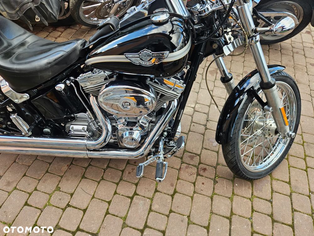 Harley-Davidson Softail - 31
