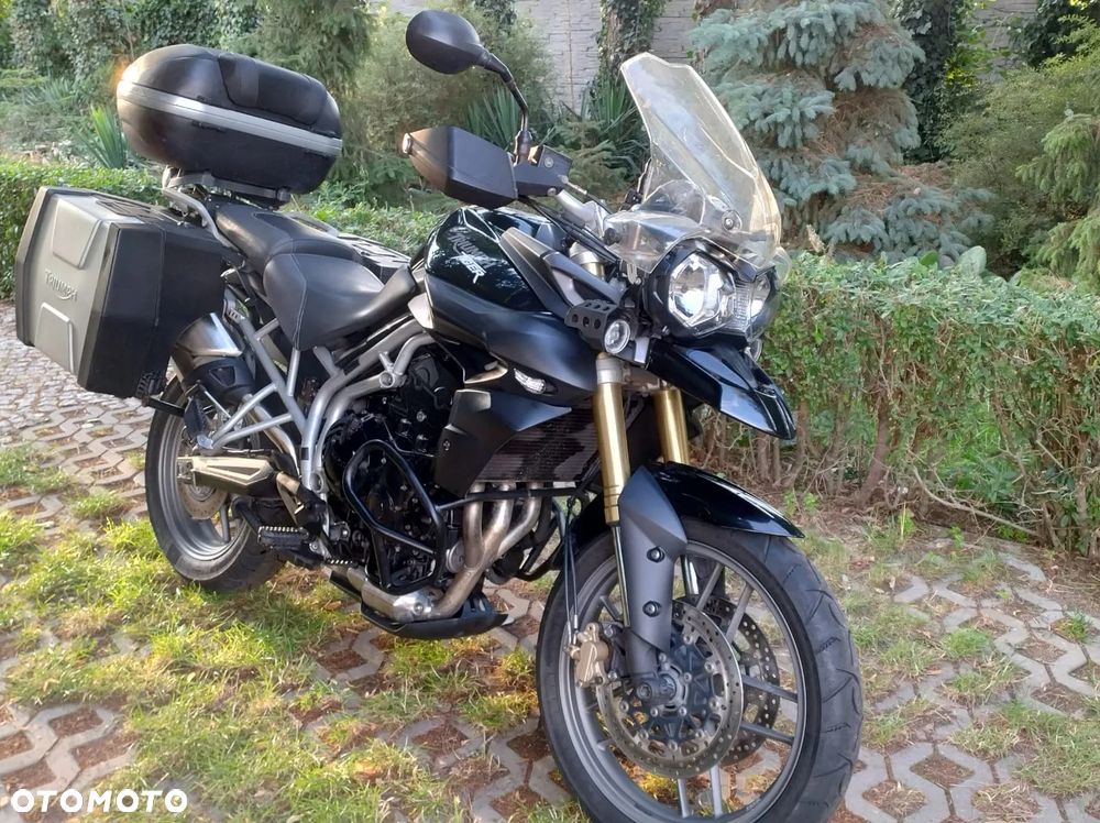 Triumph Tiger - 4