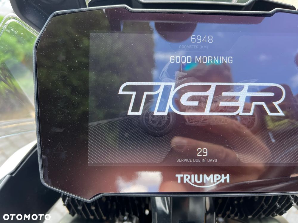 Triumph Tiger - 15