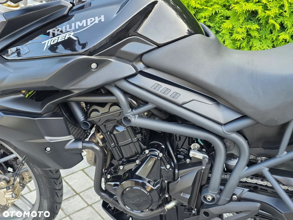 Triumph Tiger - 36