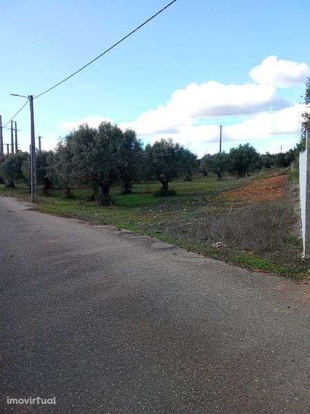 terreno para construçao em ALCANENA - Grande imagem: 5/9