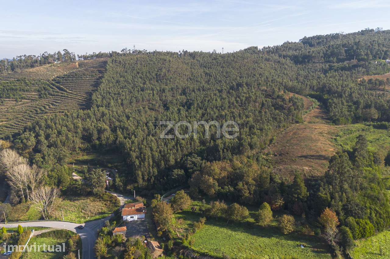 Casal - Terreno de uso Silvícola e Agrícola c/ 44.077 m², em Sobrei... - Grande imagem: 2/15