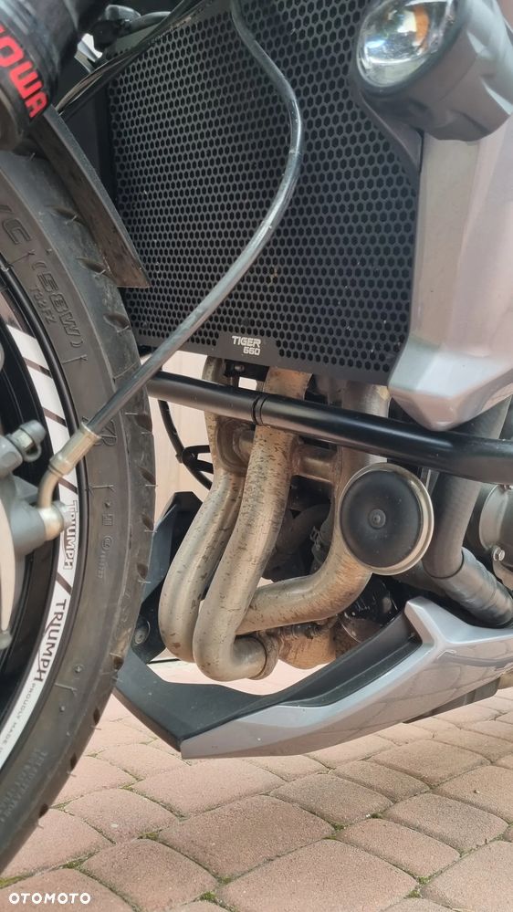 Triumph Tiger - 19