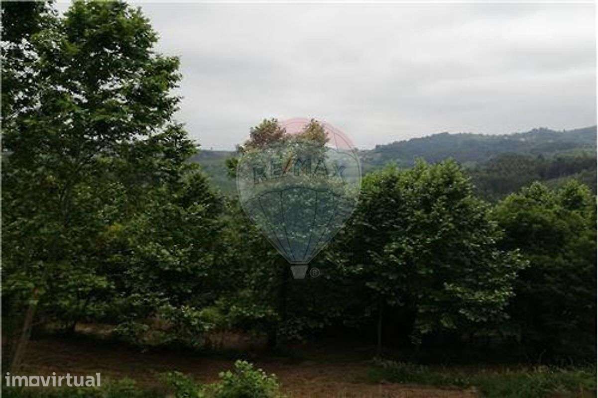 Terreno T0 para venda - Grande imagem: 3/8