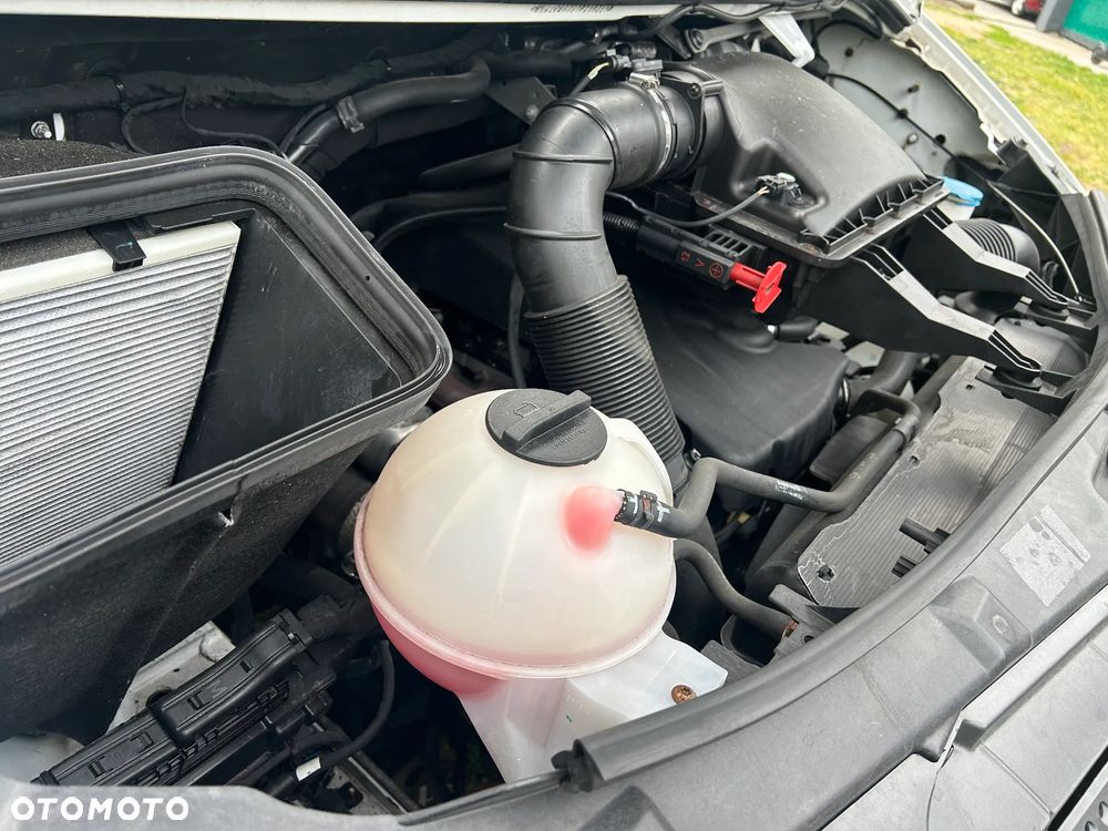 Mercedes-Benz Sprinter 316 cdi automat chłodnia mrożnia Thermoking - 14