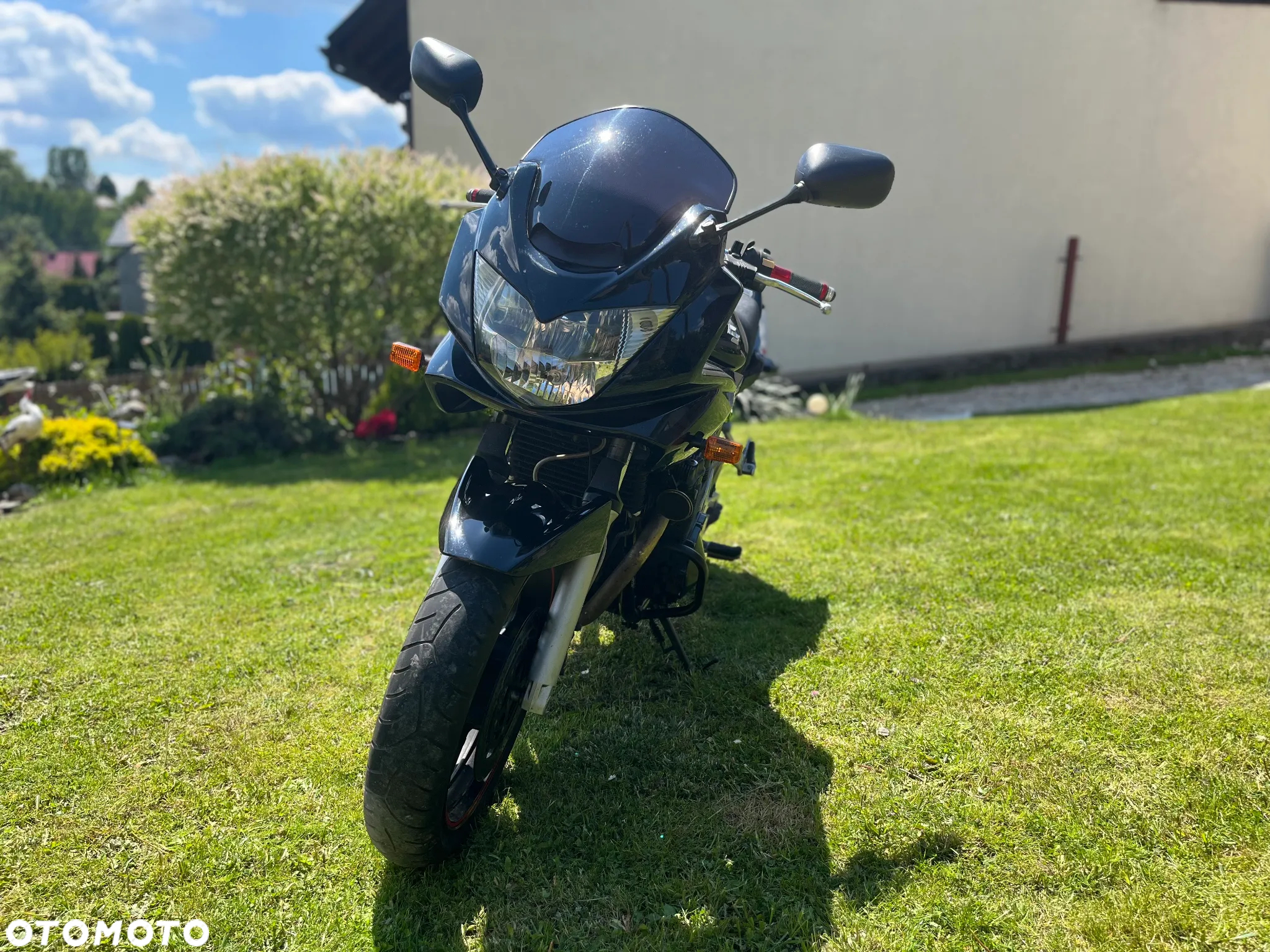 Suzuki Bandit - 2