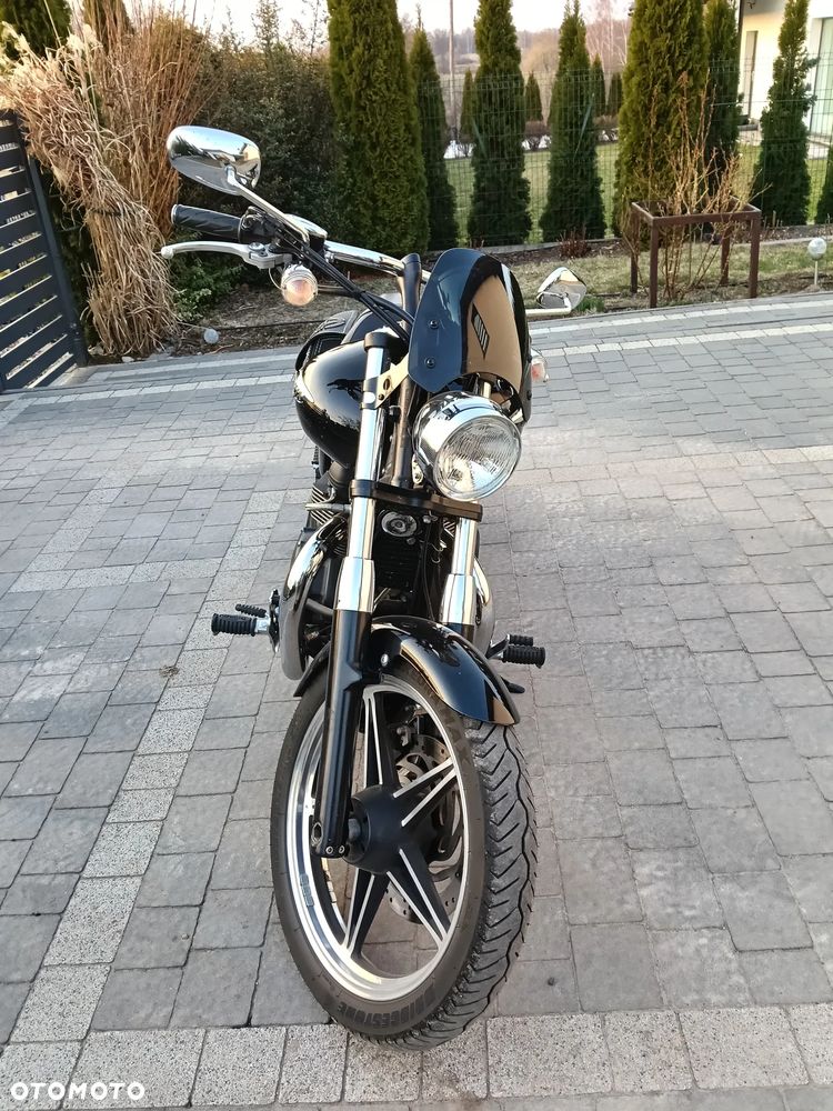 Triumph Speedmaster - 5