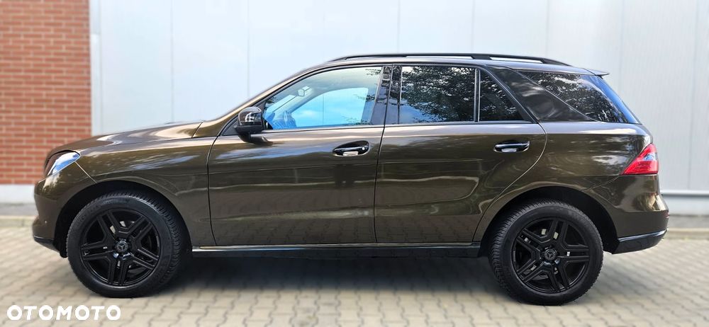 Mercedes-Benz ML 250 BlueTec 4-Matic - 14