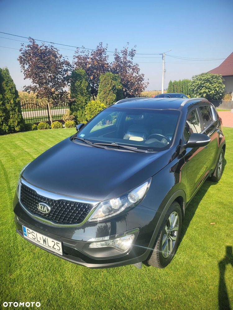 Kia Sportage 2015 photo 2