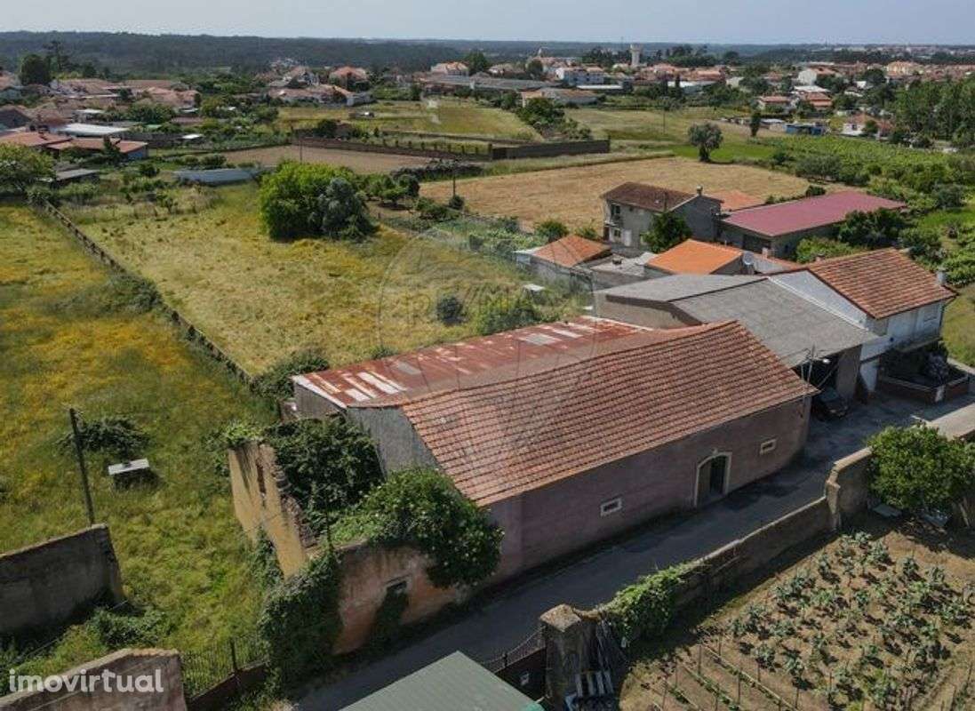 Armazém  para venda - Grande imagem: 3/28